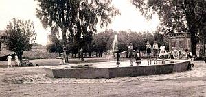 1186- Oued-Fodda - Le Jet d'eau2